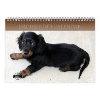 Dachshund 2025 Wall Calendar