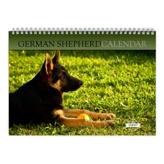 German Shepherd 2025 Wall Calendar