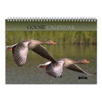 Goose 2025 Wall Calendar