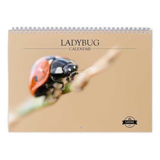 Ladybug 2025 Wall Calendar