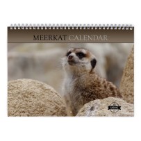 Meerkat 2025 Wall Calendar