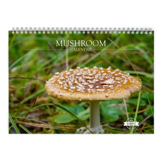 Mushroom 2025 Wall Calendar