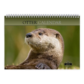 Otter 2025 Wall Calendar