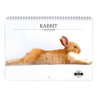 Rabbit 2025 Wall Calendar