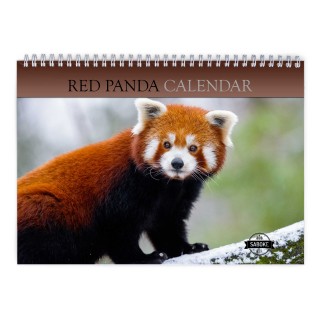 Red Panda 2025 Wall Calendar