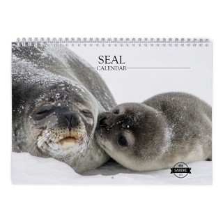 Seal 2025 Wall Calendar