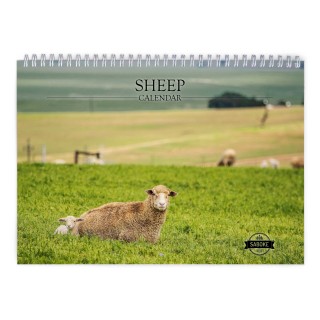 Sheep 2025 Wall Calendar