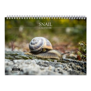 Snail 2025 Wall Calendar
