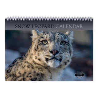 Snow Leopard 2025 Wall Calendar