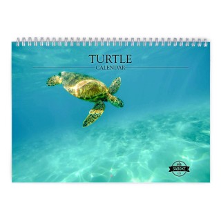 Turtle 2025 Wall Calendar