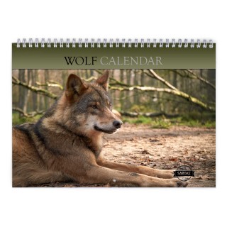 Wolf 2025 Wall Calendar