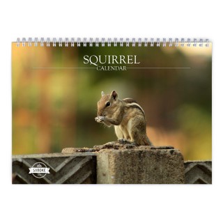 Squirrel 2025 Wall Calendar