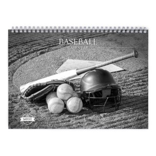 Baseball 2025 Wall Calendar