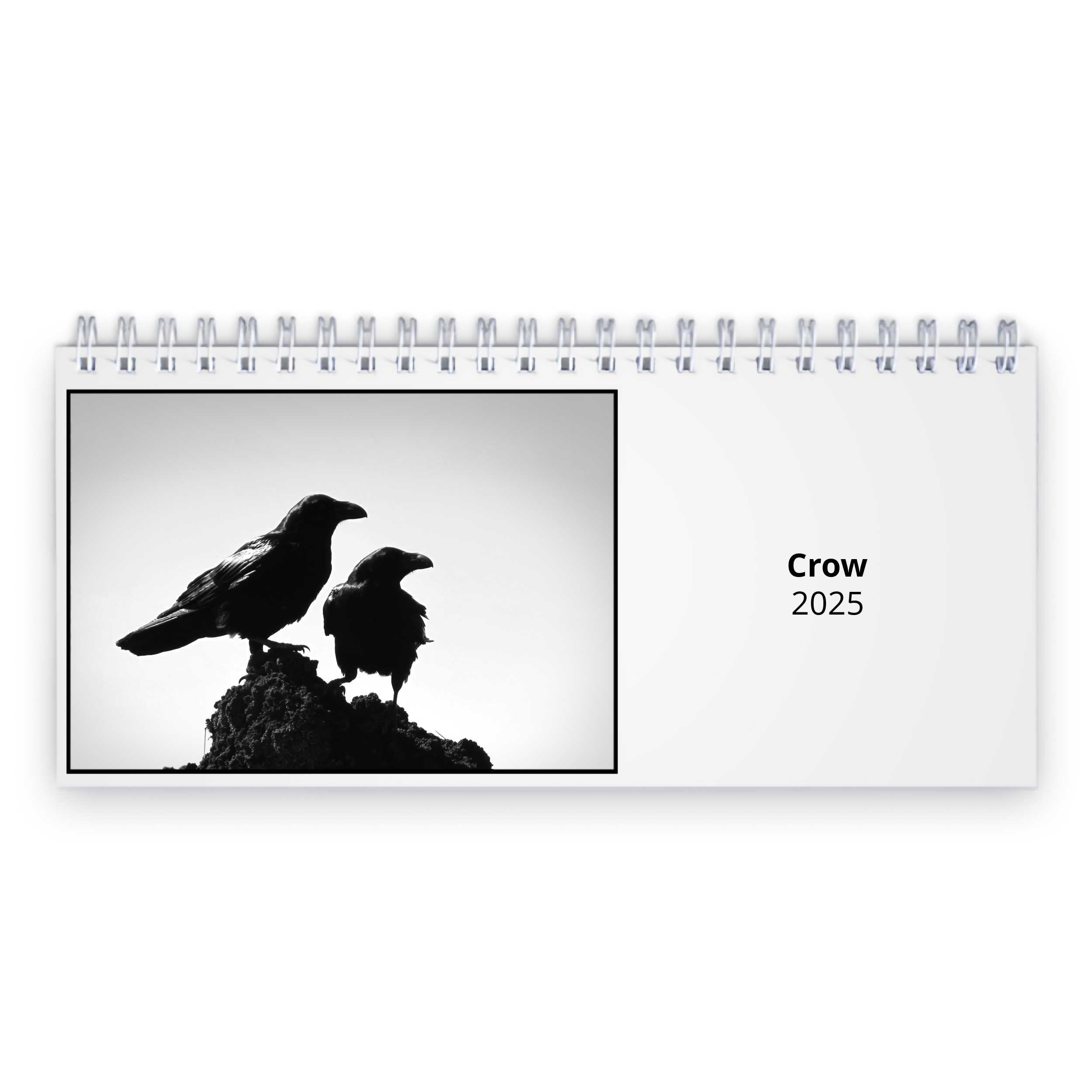 Crow 2024 Desk Calendar