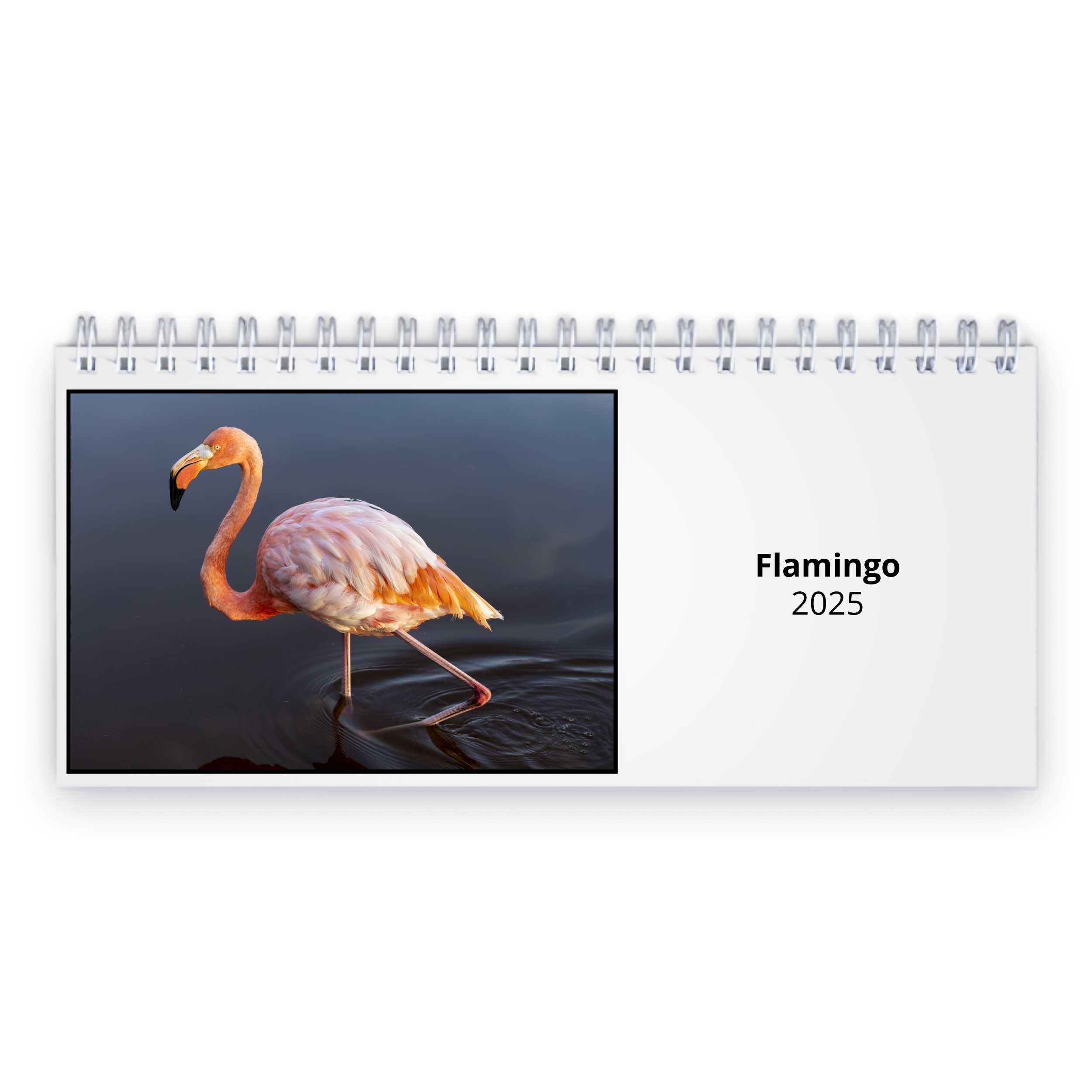 Flamingo 2025 Desk Calendar