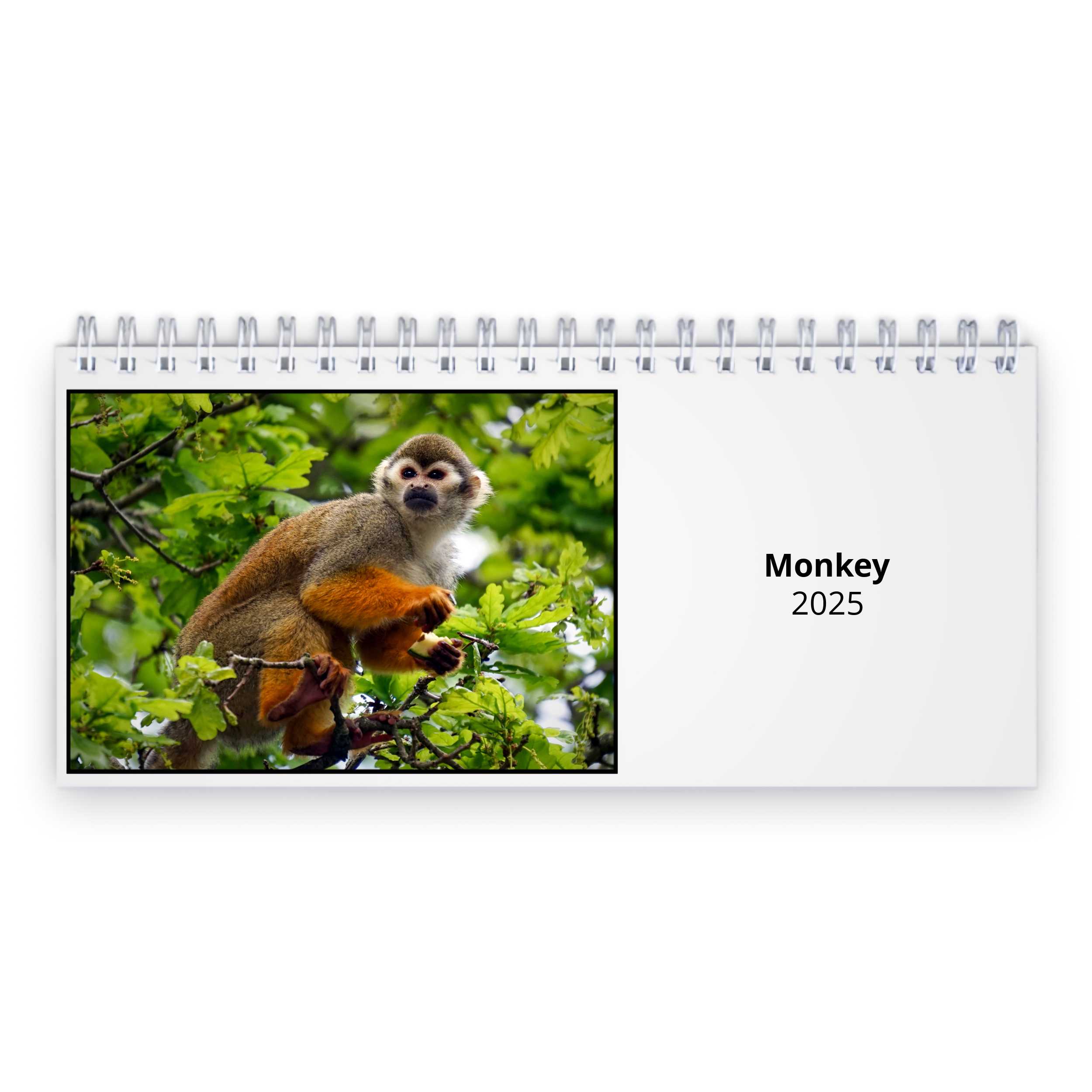 Monkey 2025 Desk Calendar