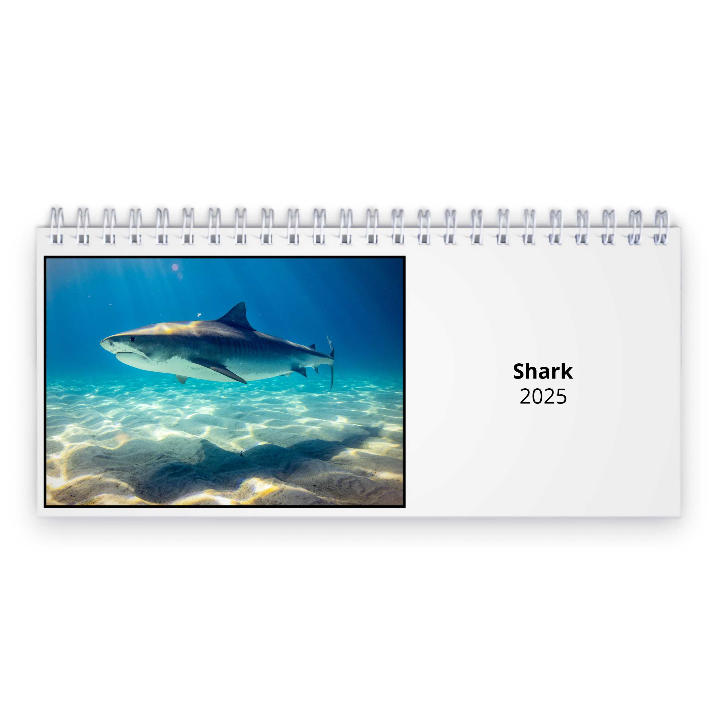 Shark 2025 Desk Calendar