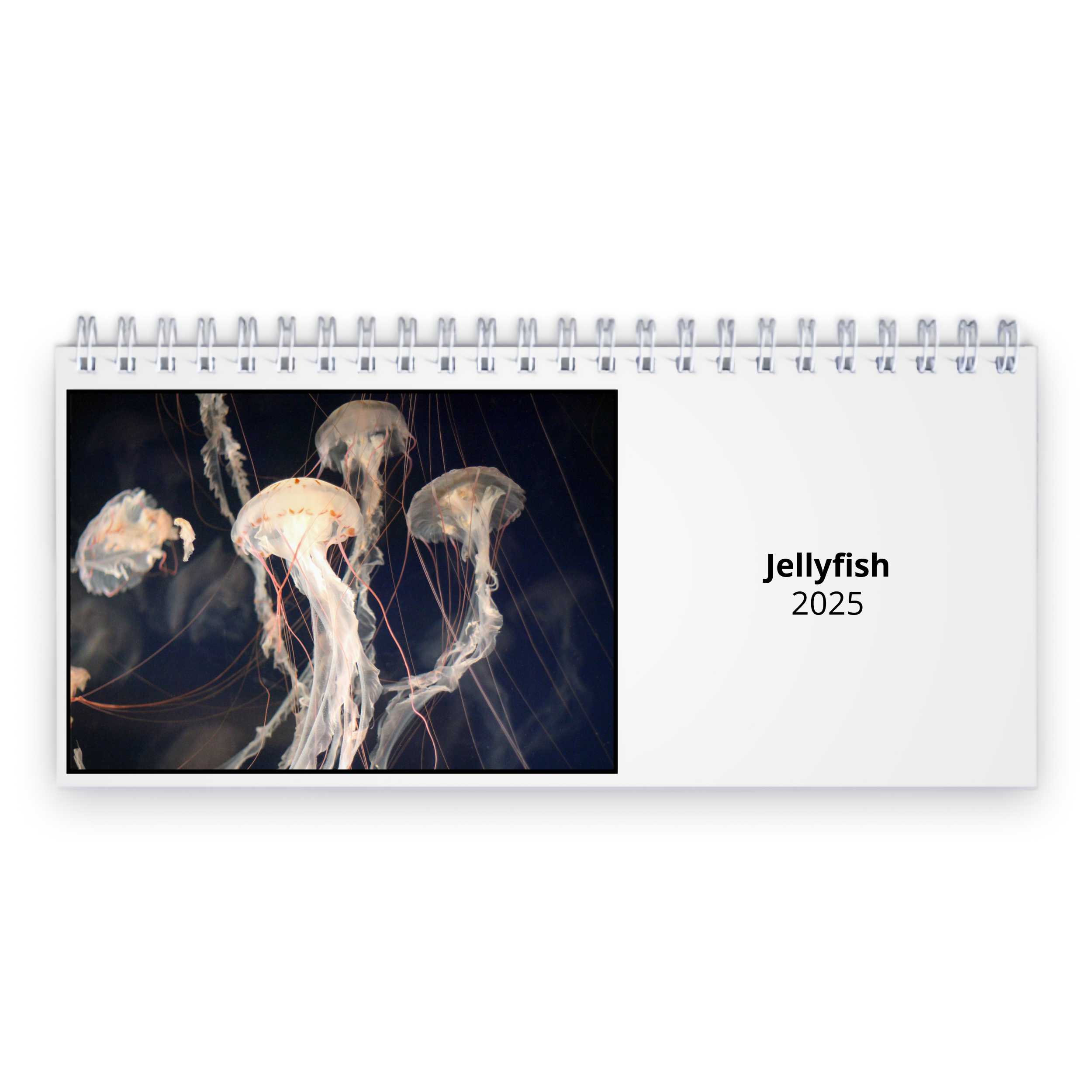 Jellyfish 2025 Desk Calendar