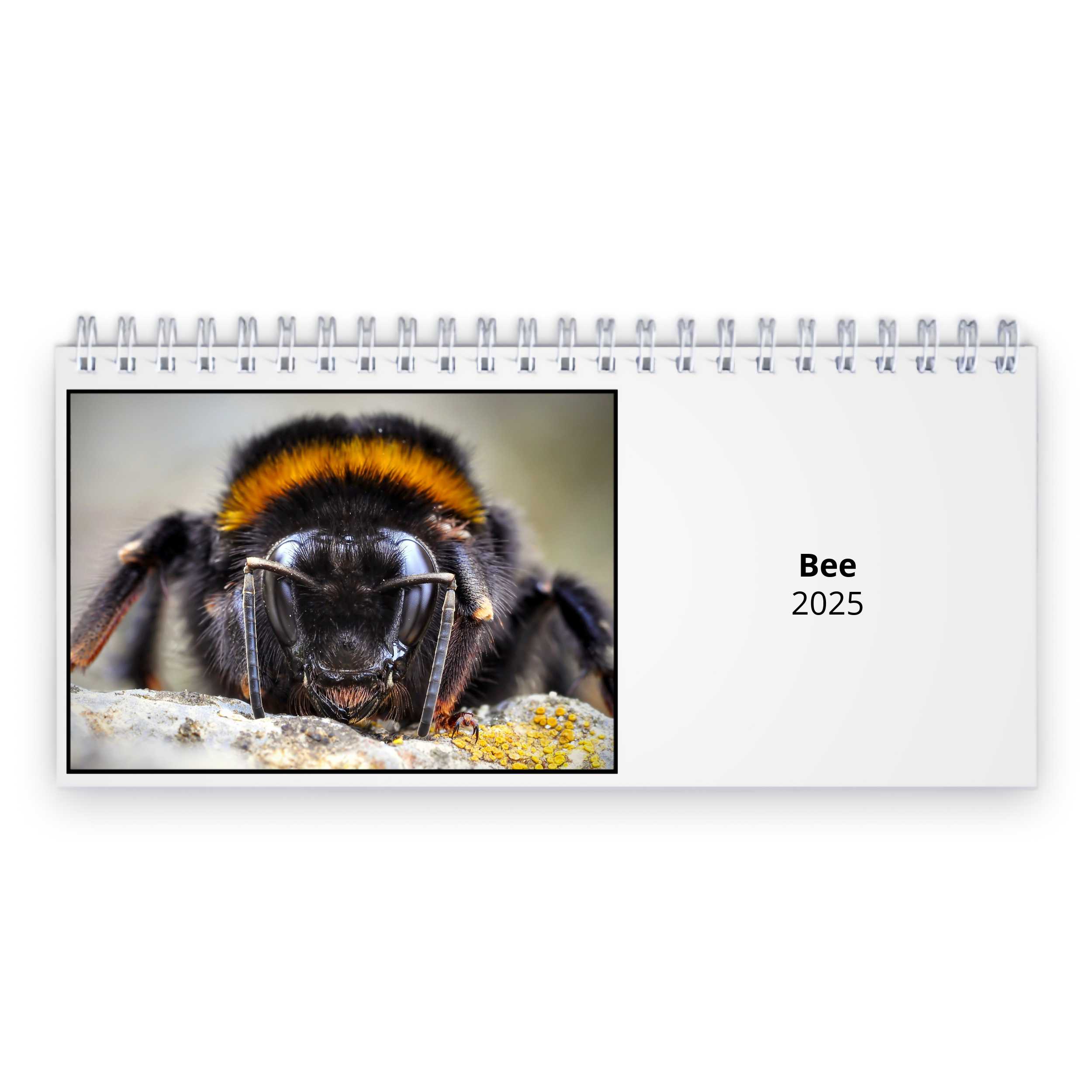 Bee 2025 Desk Calendar