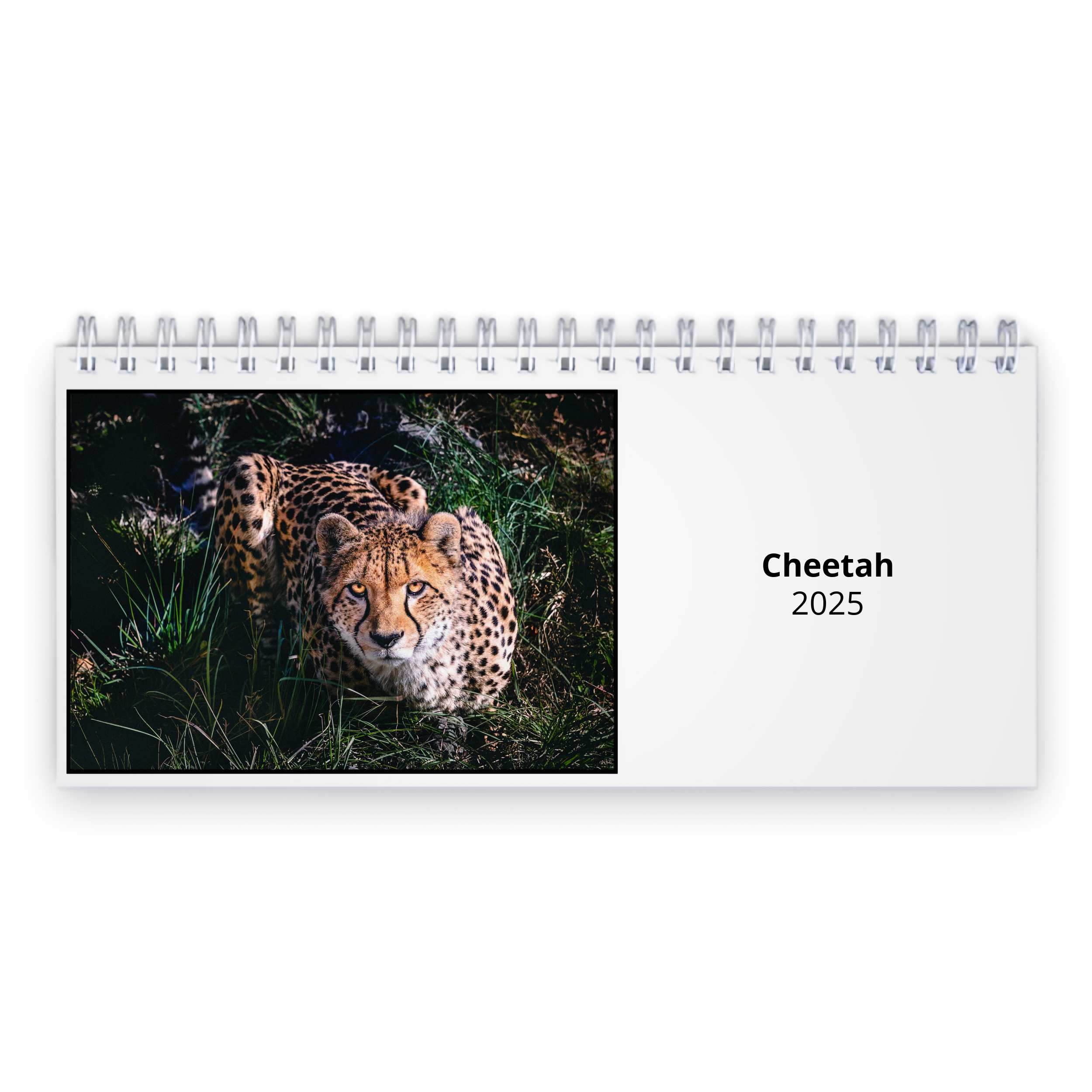 Cheetah 2025 Desk Calendar