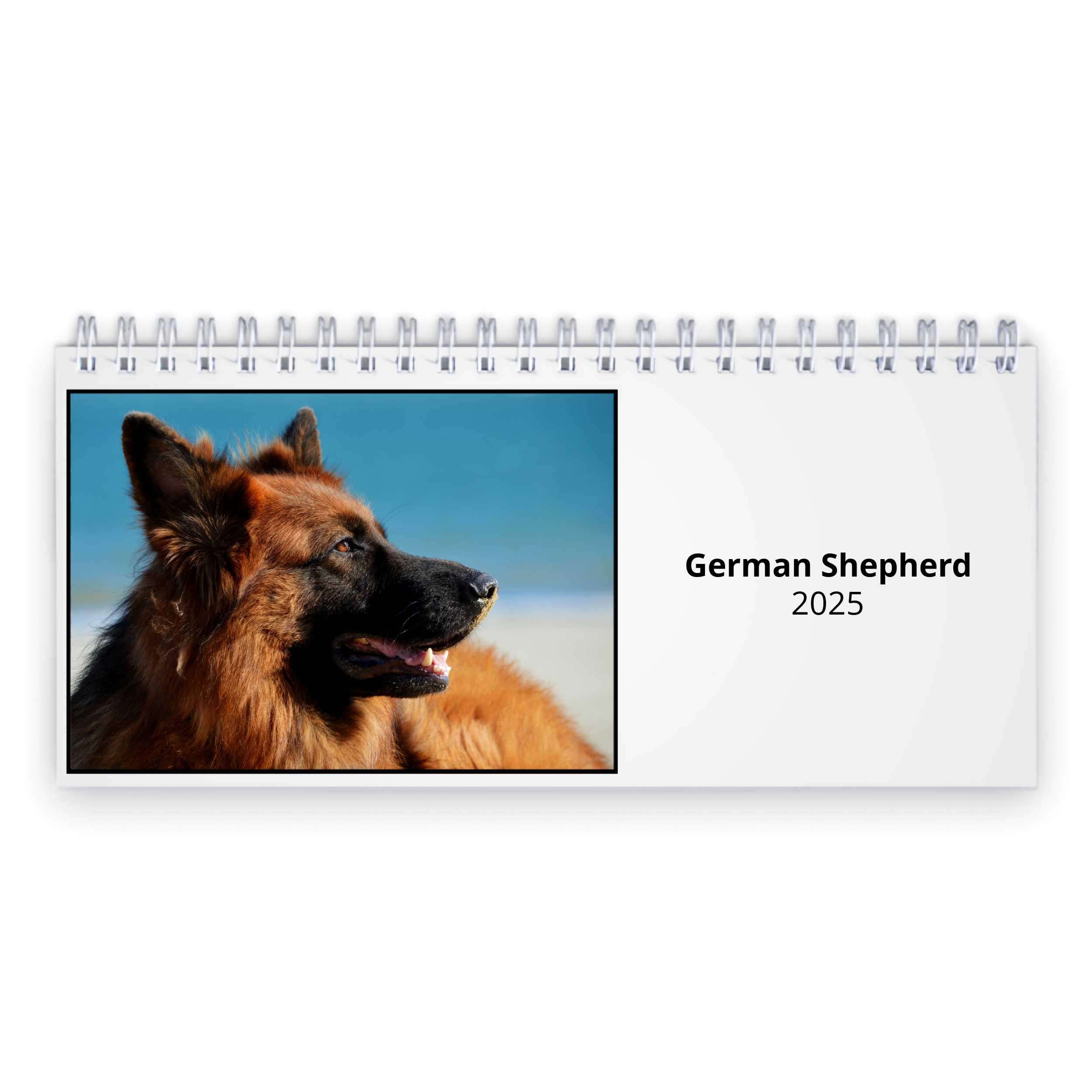 German Shepherd 2024 Desk Calendar   D23127 Cover 