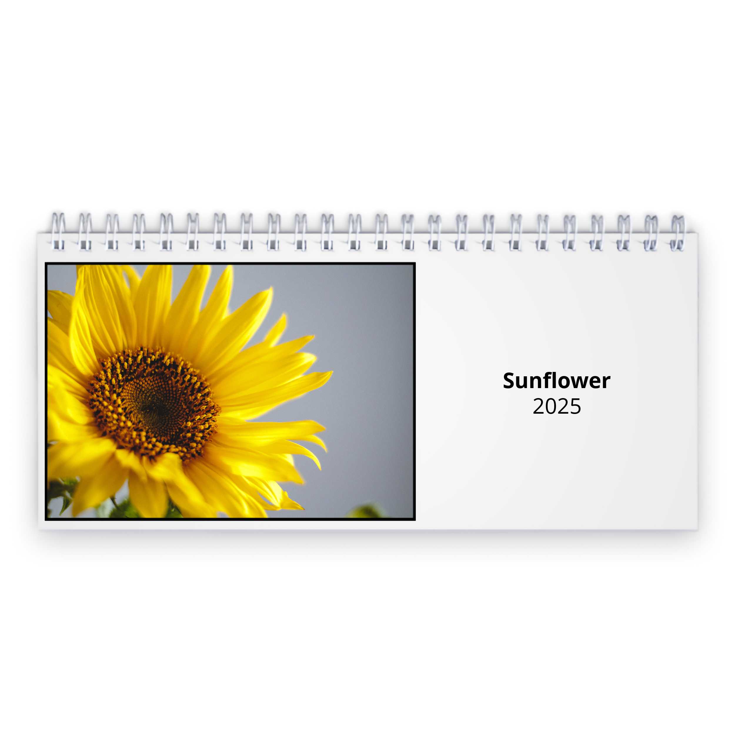 Sunflower 2025 Desk Calendar