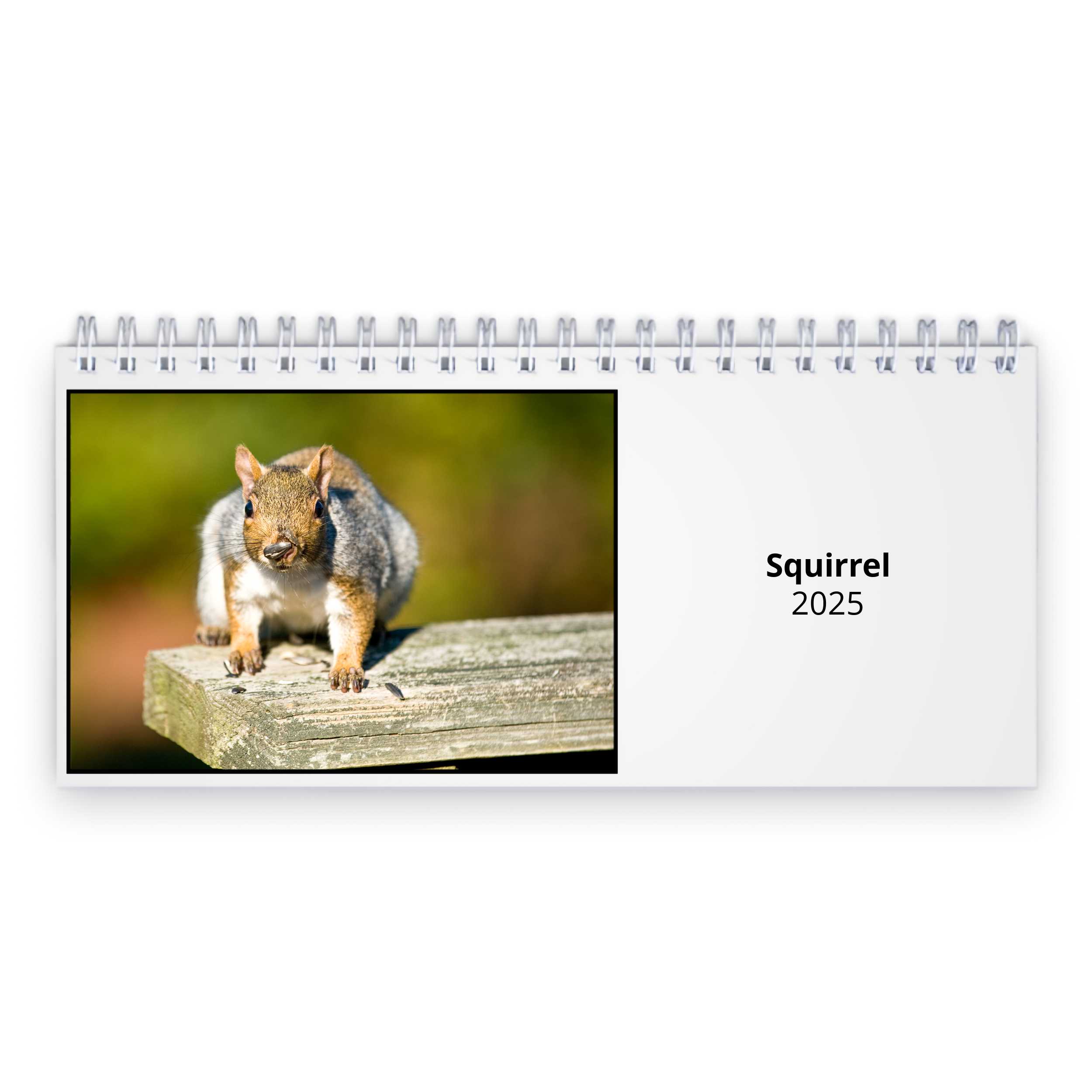 Squirrel 2025 Desk Calendar   D24011 Cover 