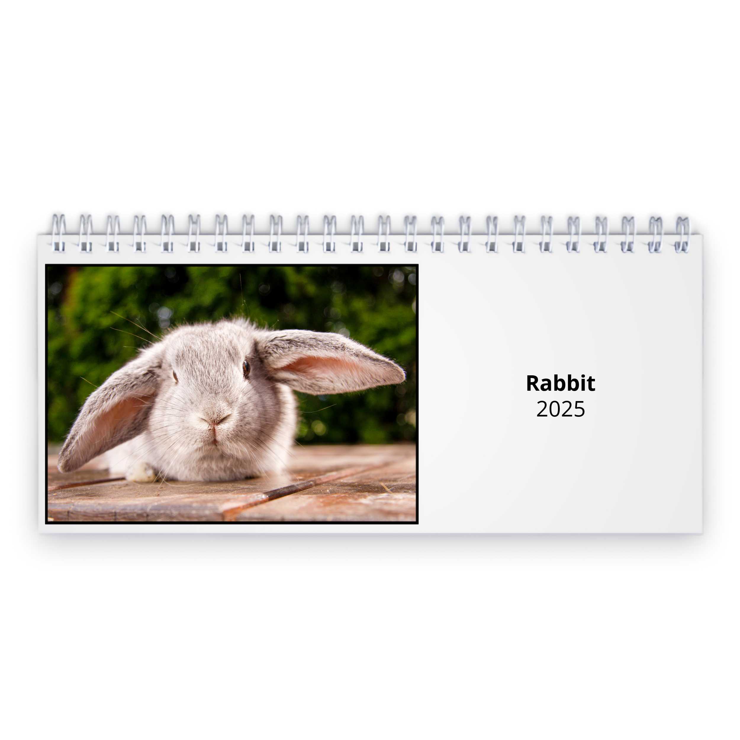 Rabbit 2025 Desk Calendar