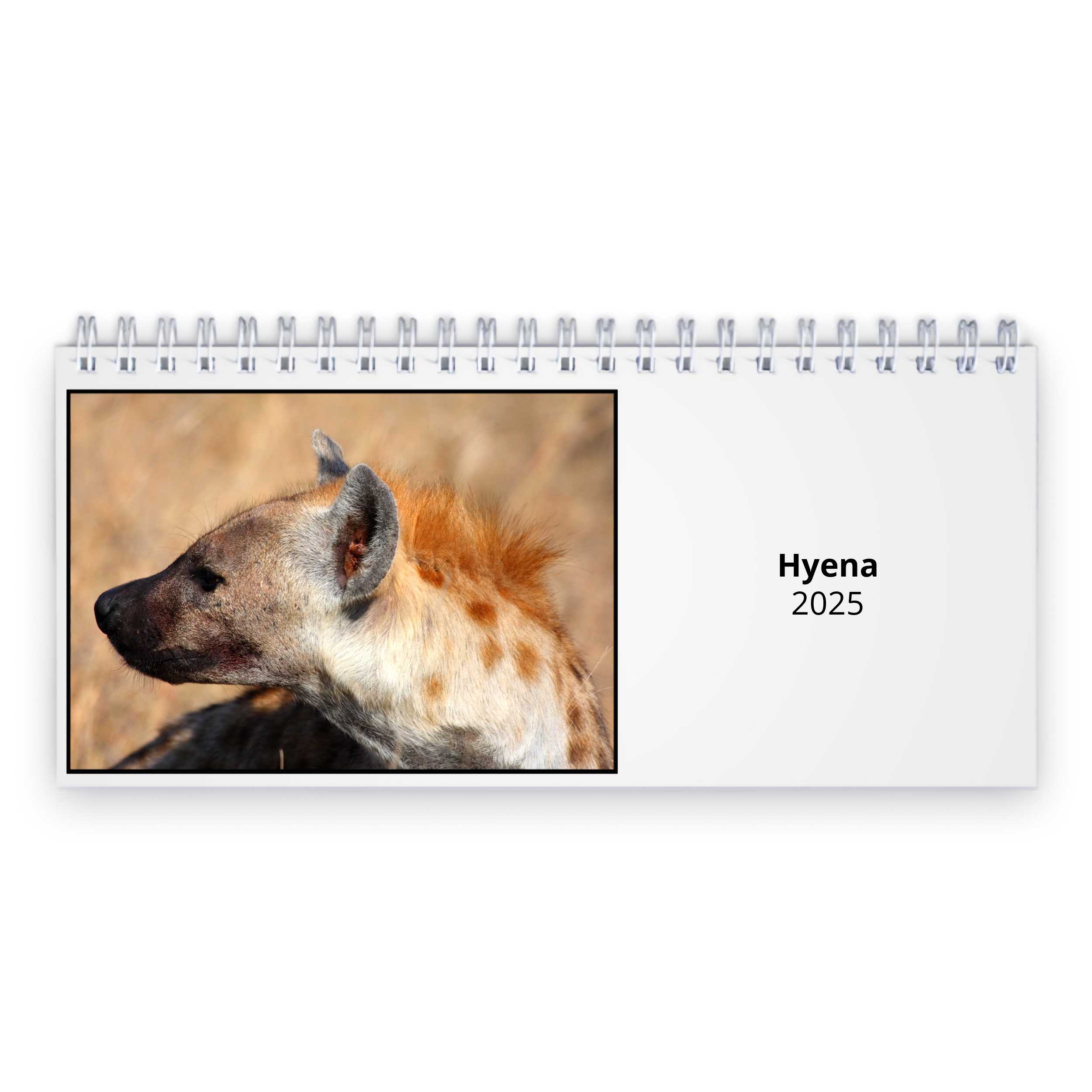 Hyena 2025 Desk Calendar