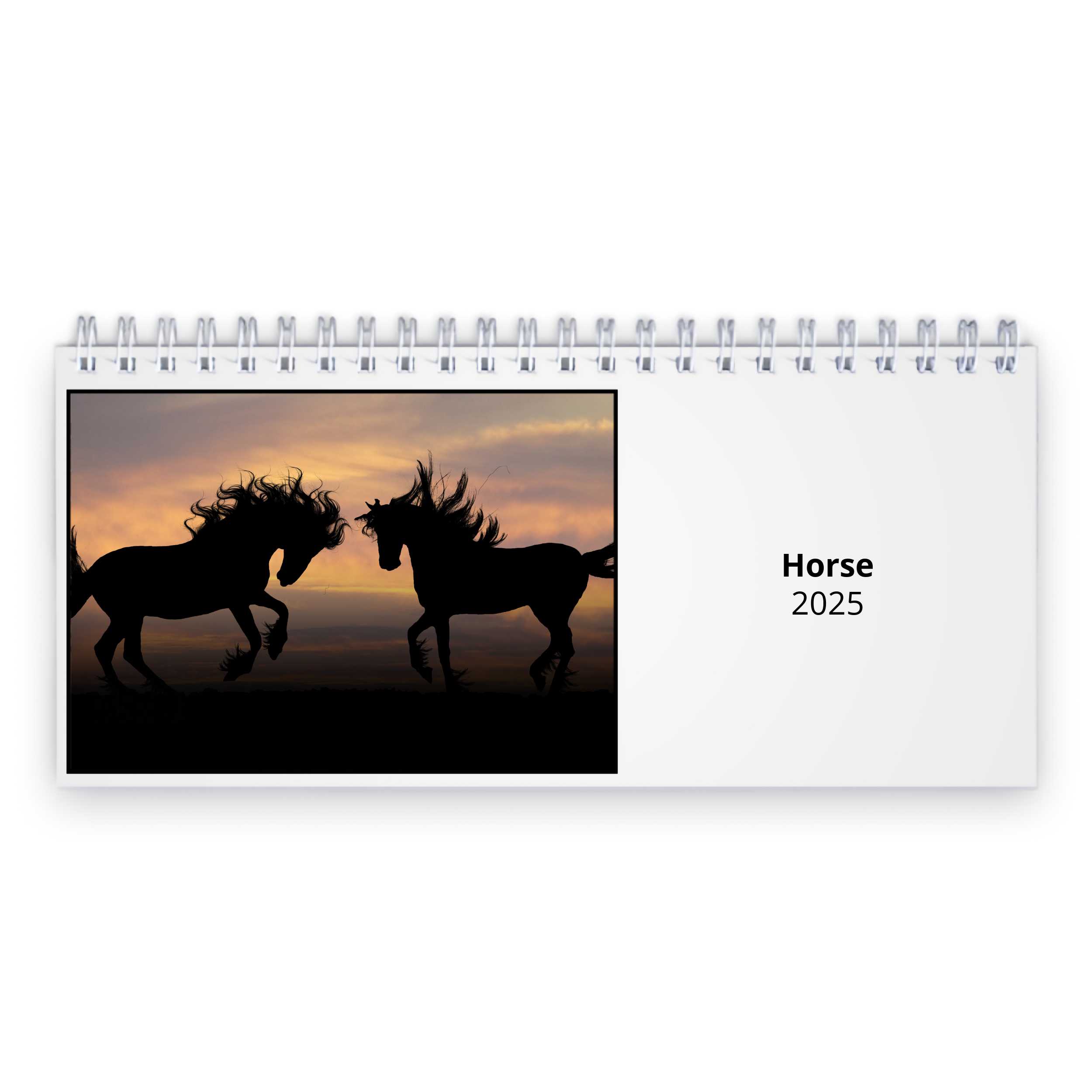 Horse 2025 Desk Calendar   D24037 Cover 