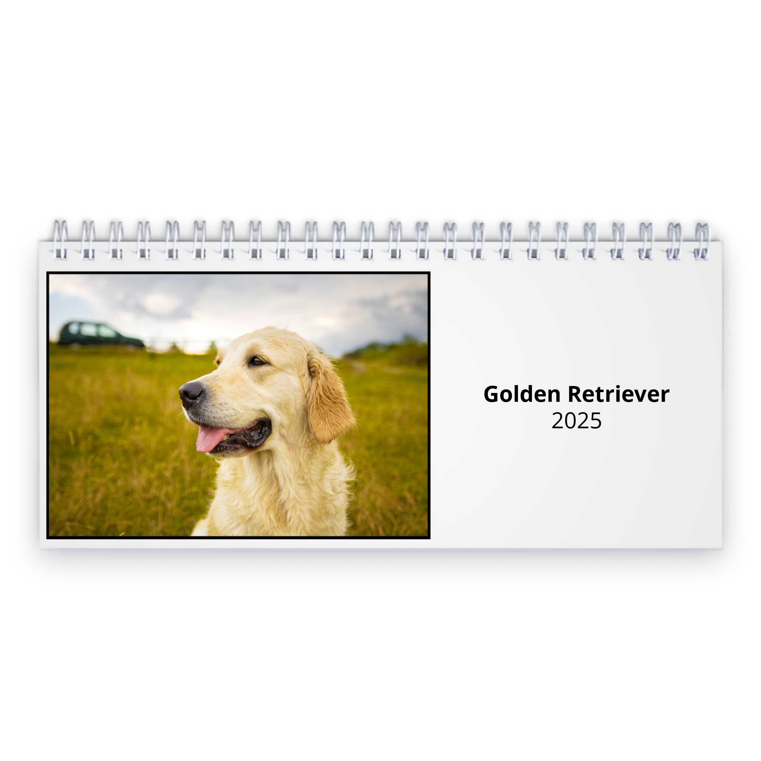 Golden Retriever 2025 Desk Calendar