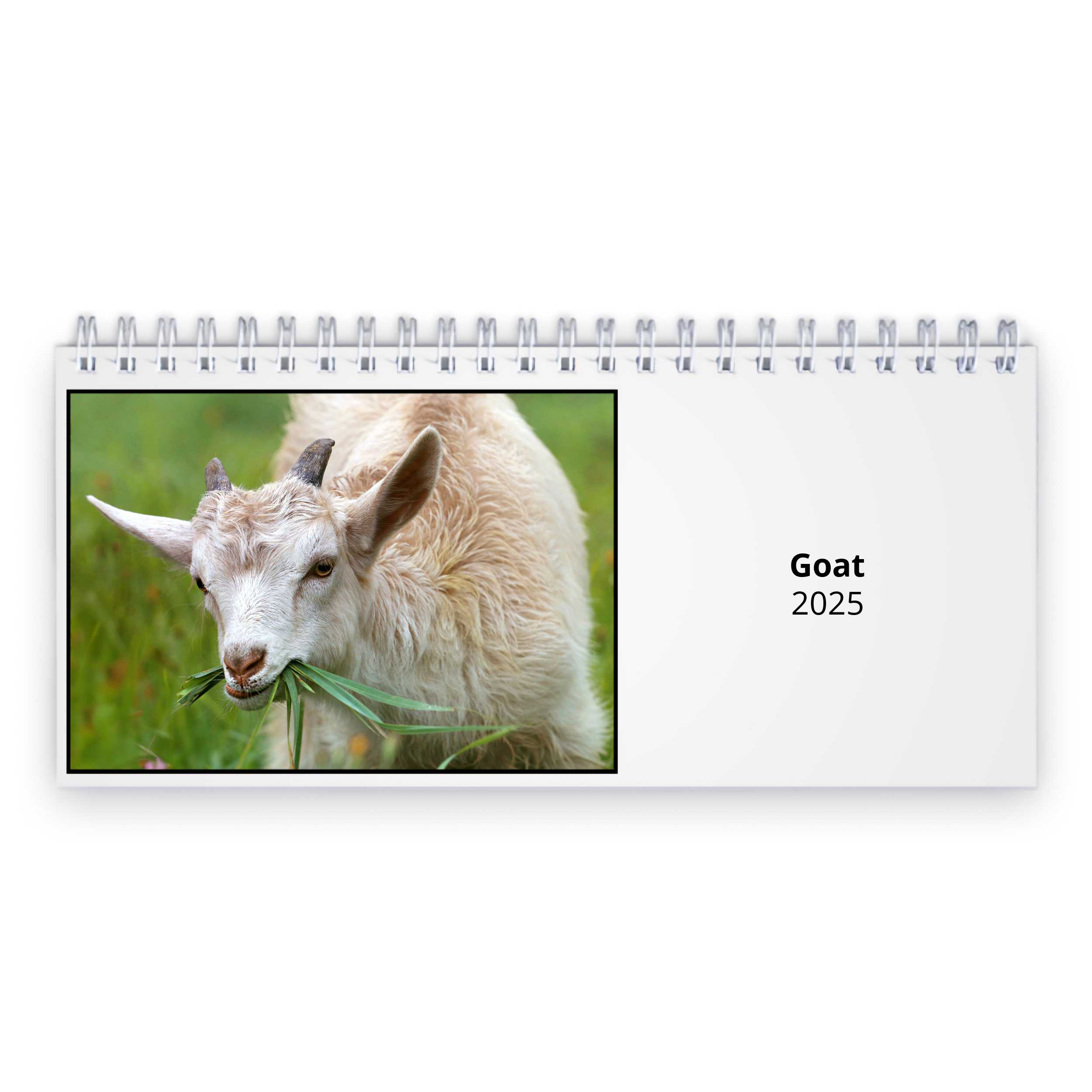 Goat 2025 Desk Calendar