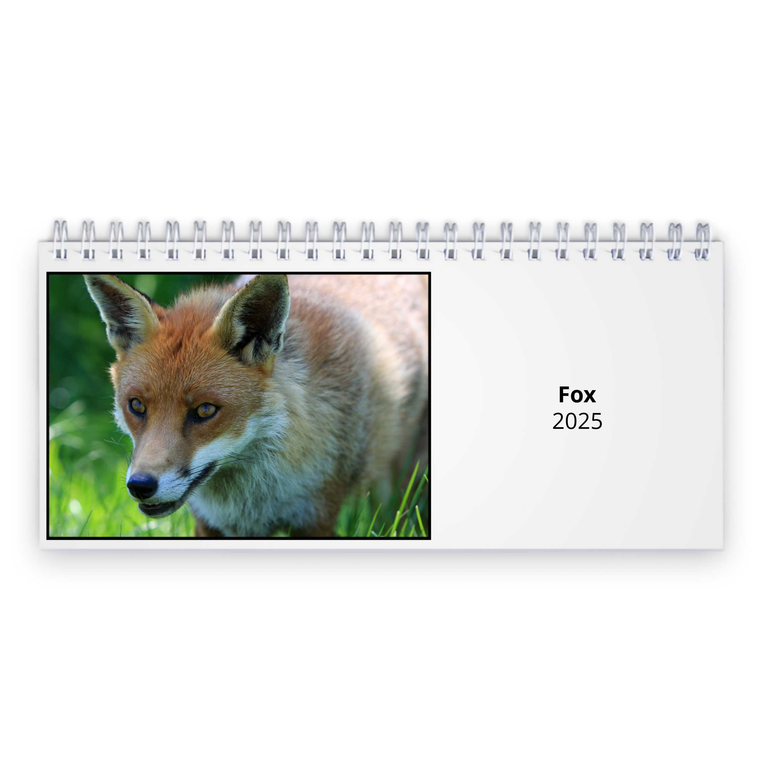 Fox 2024 Desk Calendar