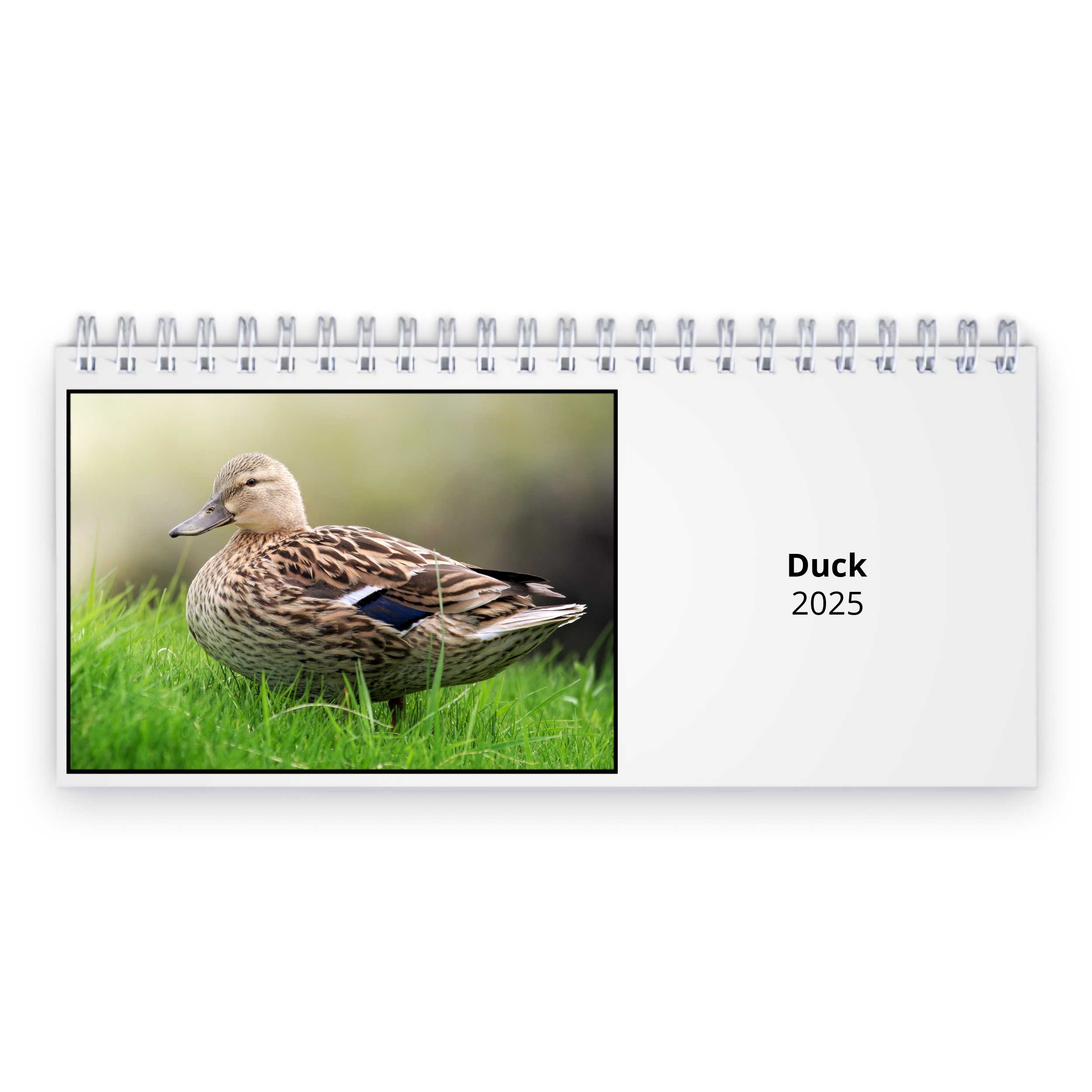 Duck 2025 Desk Calendar