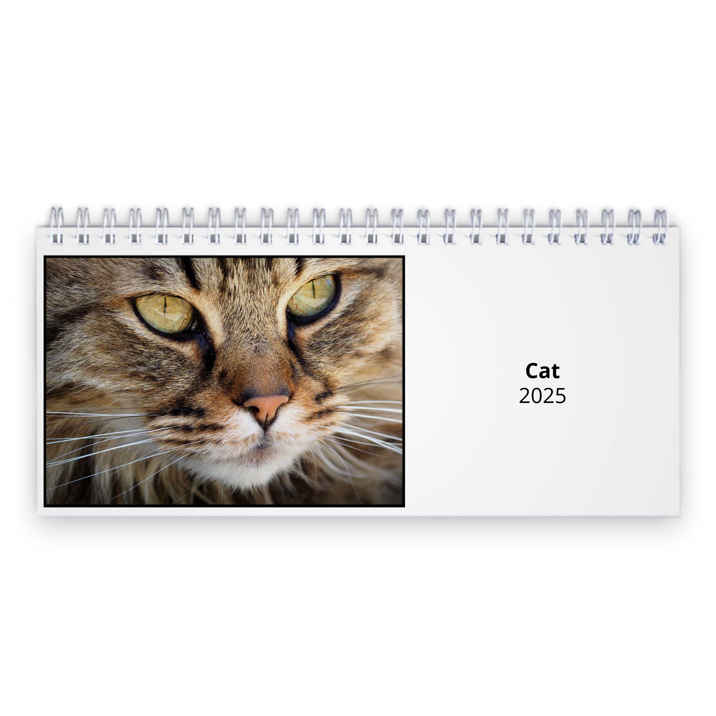 Cat 2025 Desk Calendar