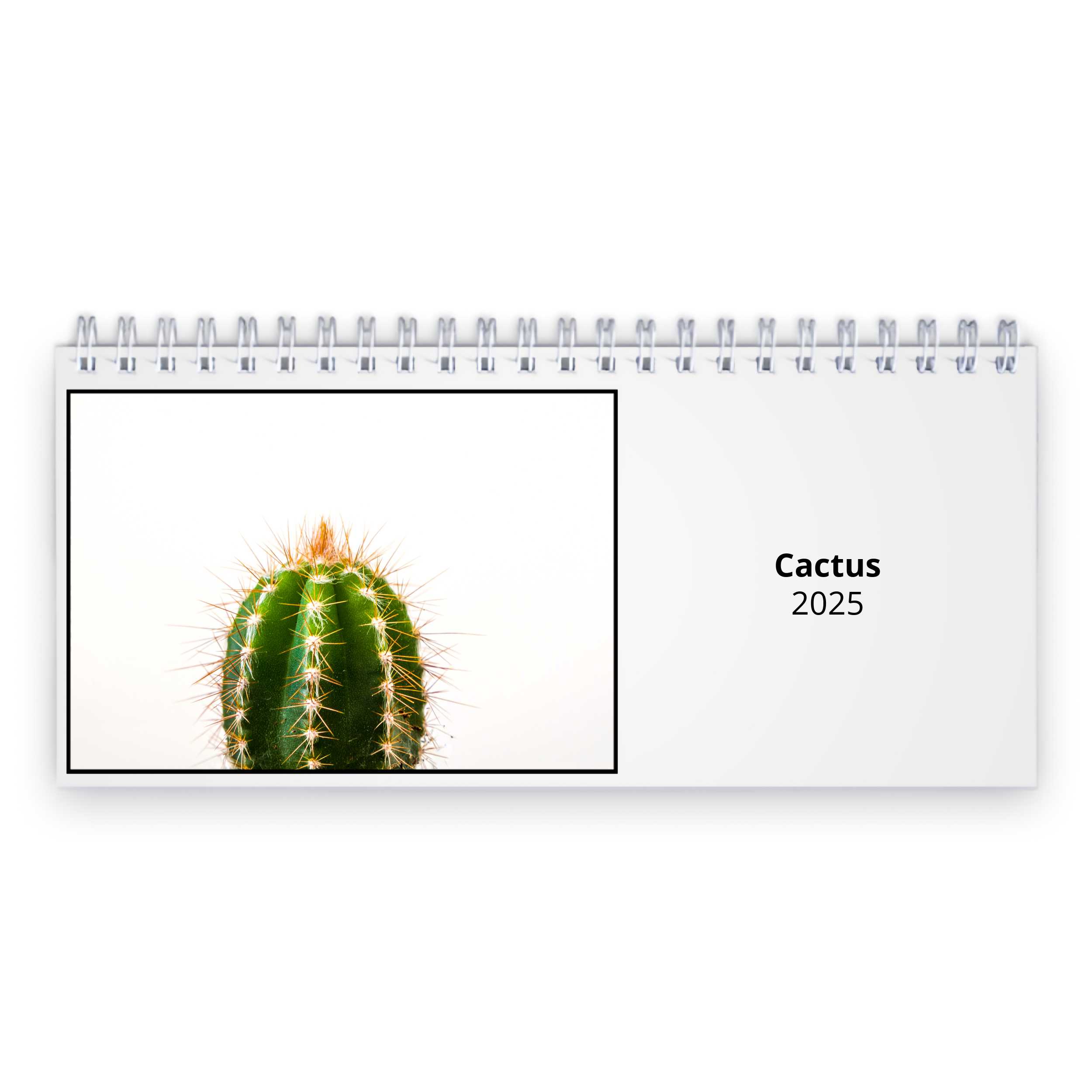 Cactus 2024 Desk Calendar   D24064 Cover 