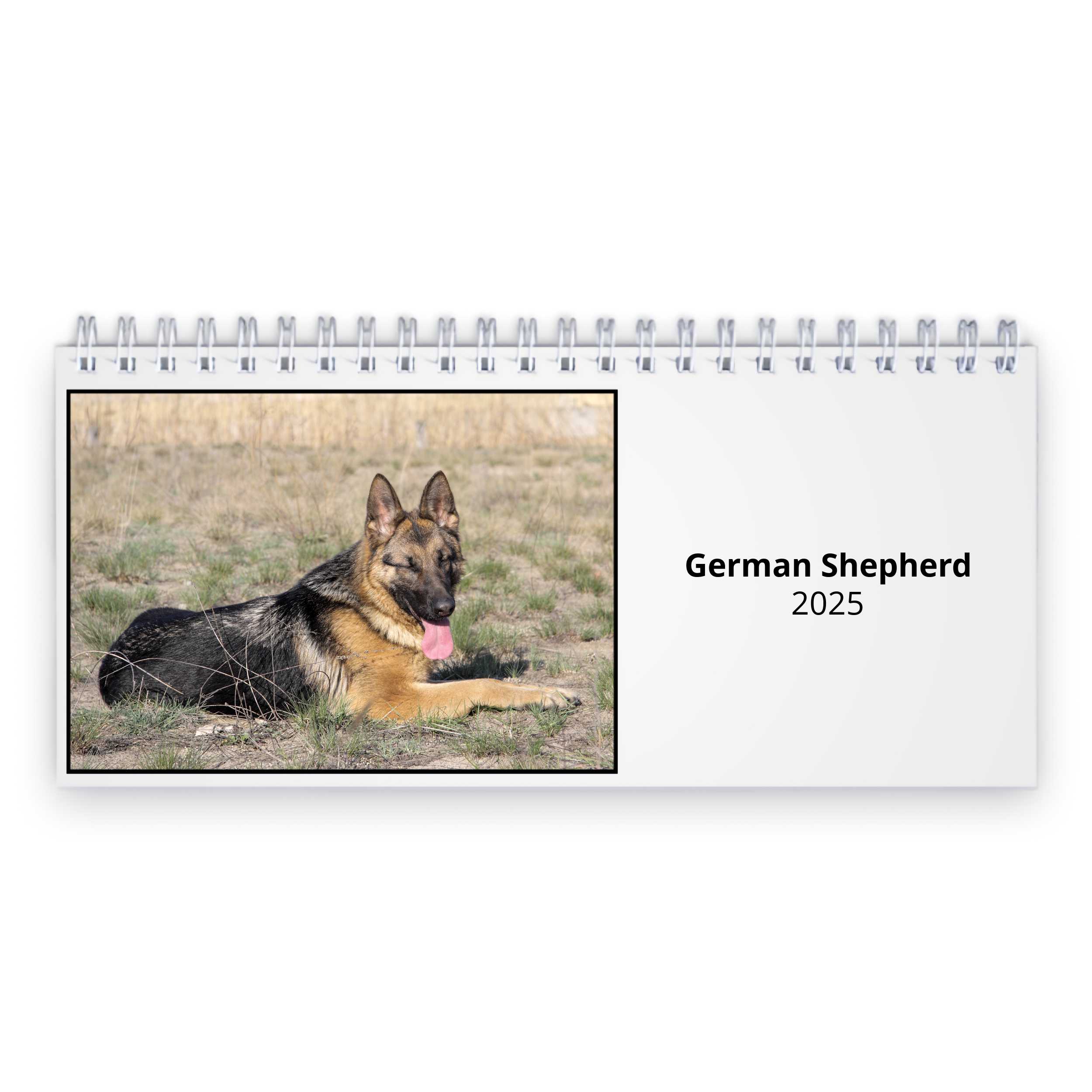 German Shepherd 2024 Desk Calendar