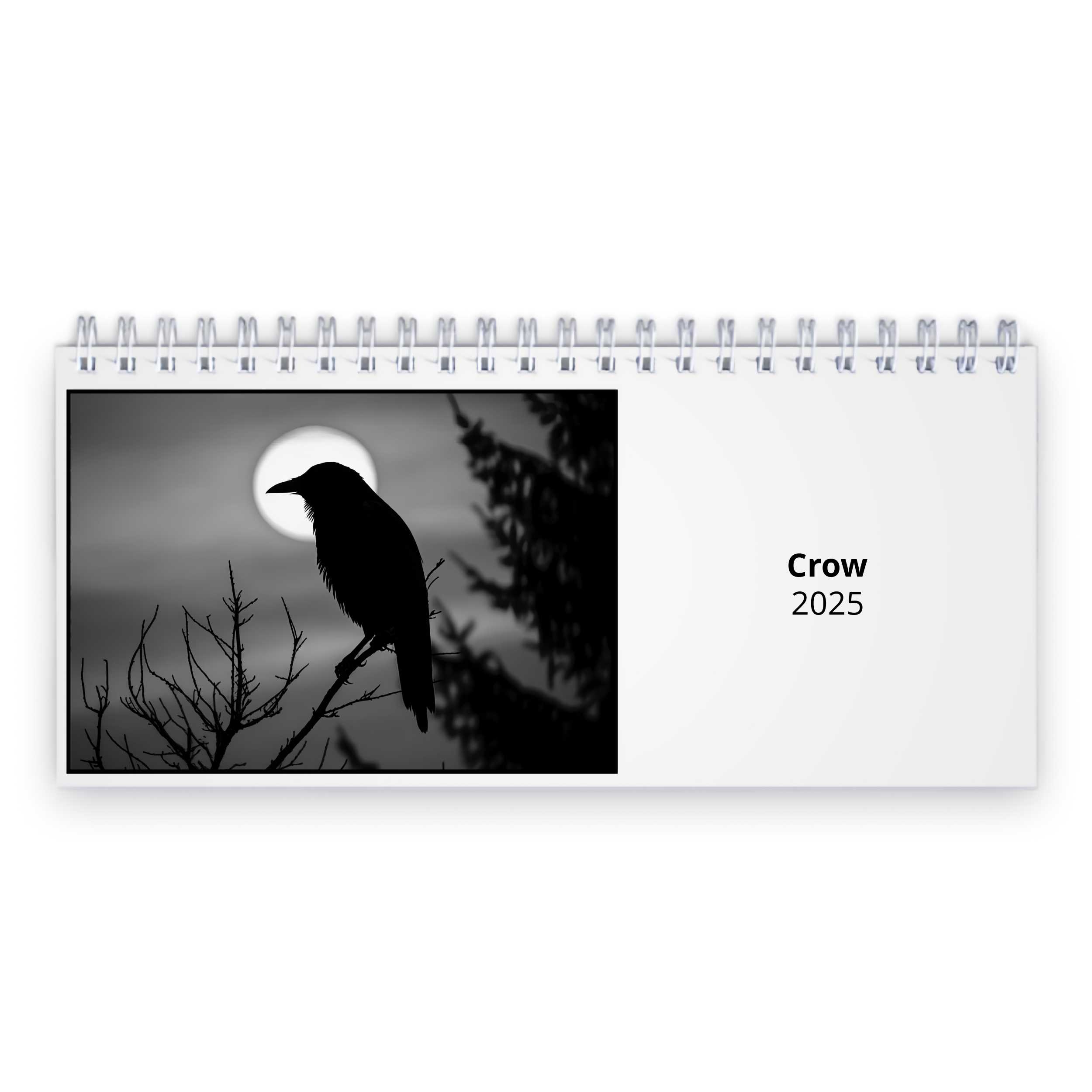 Crow 2025 Desk Calendar