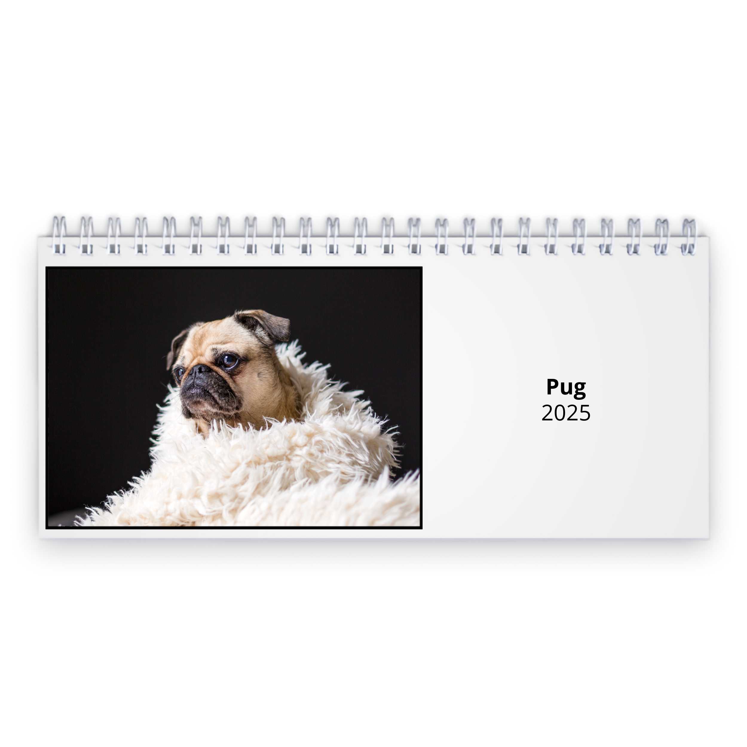 Pug 2025 Desk Calendar