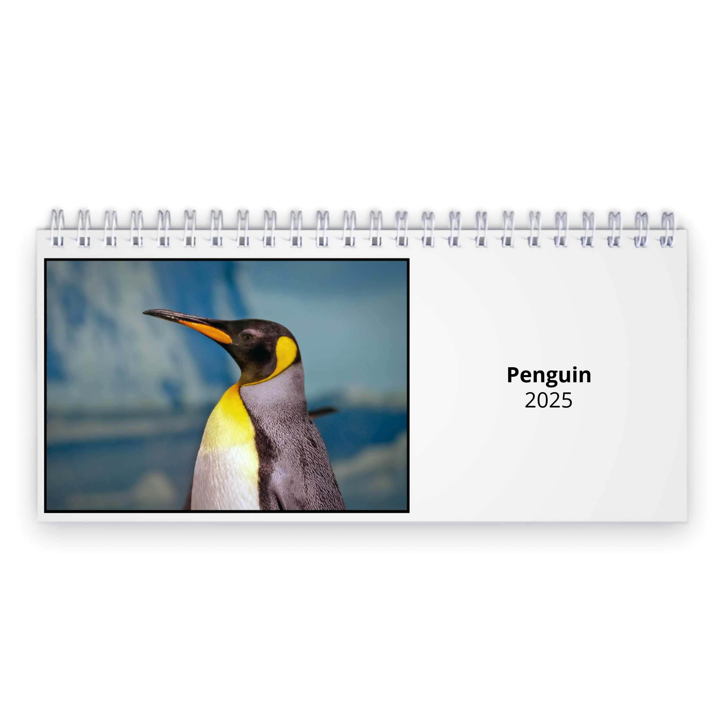 Penguin 2025 Desk Calendar