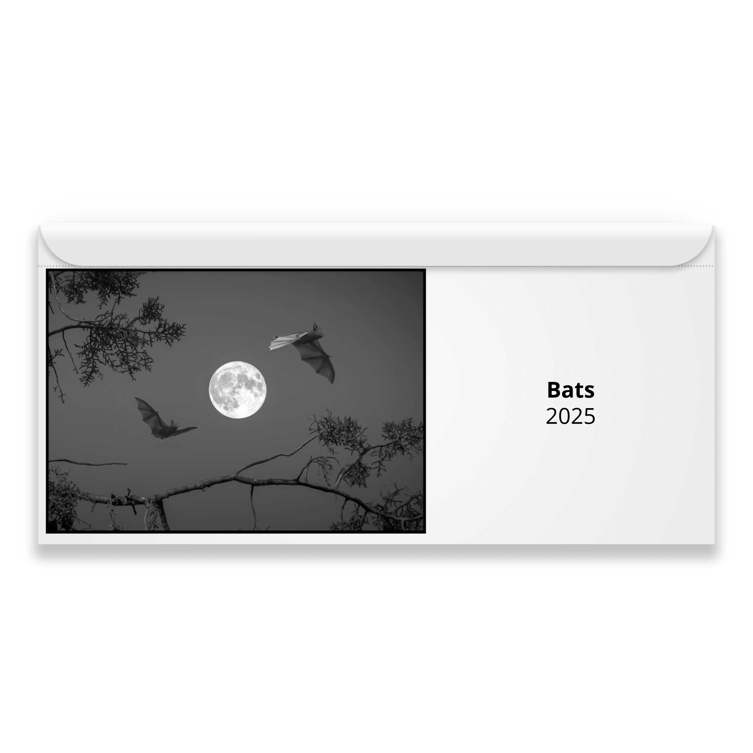 Bats 2025 Magnetic Calendar   M23001 Cover 