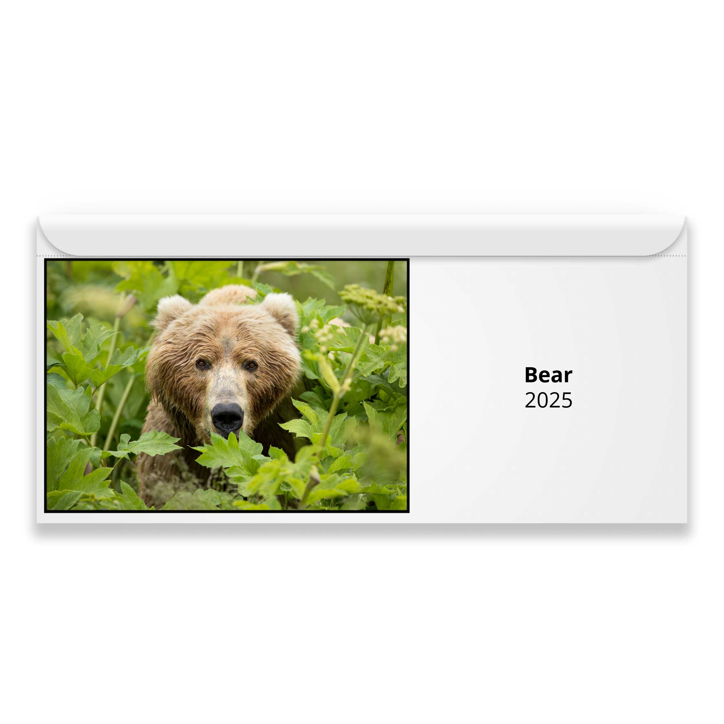 Bear 2024 Calendar