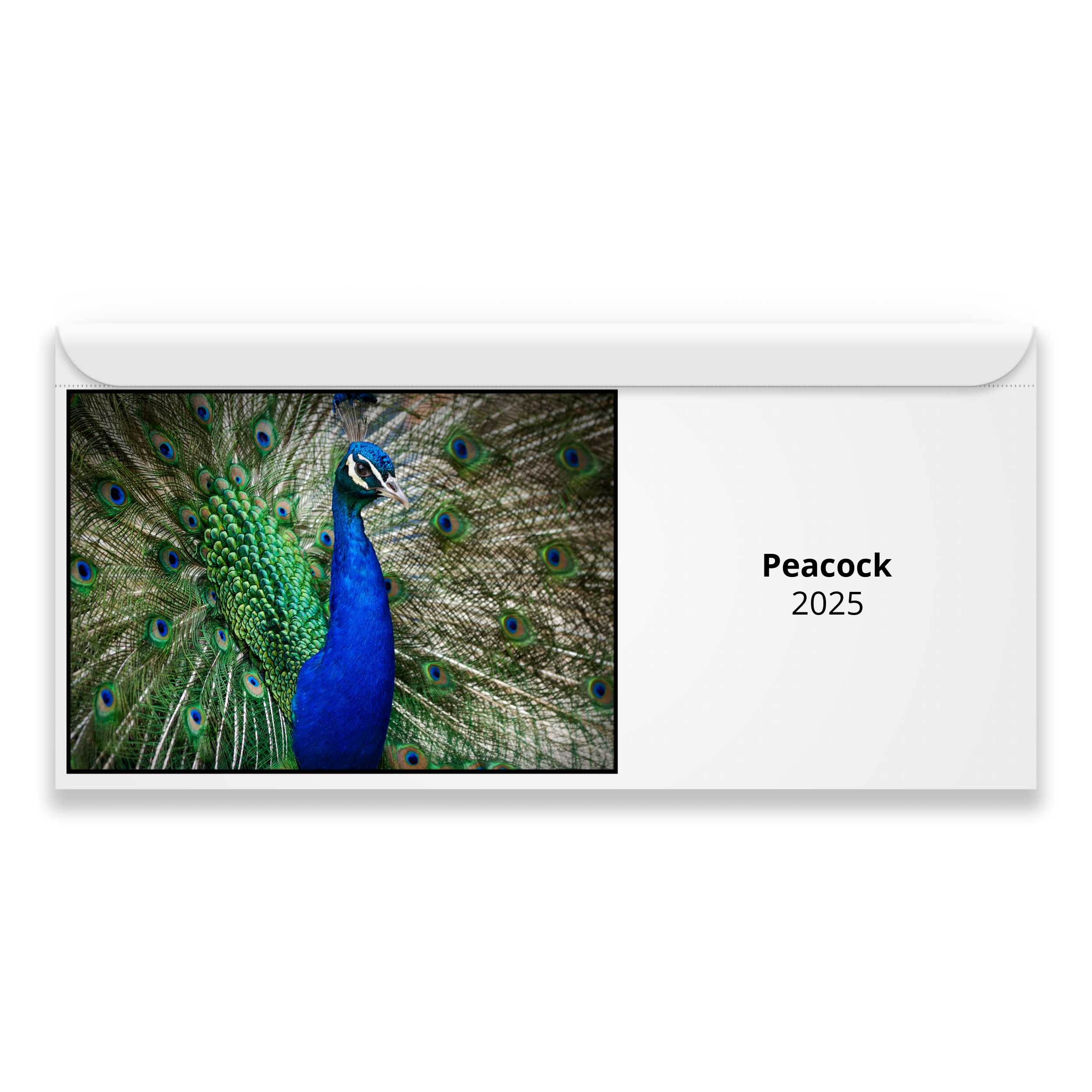 Peacock 2025 Calendar