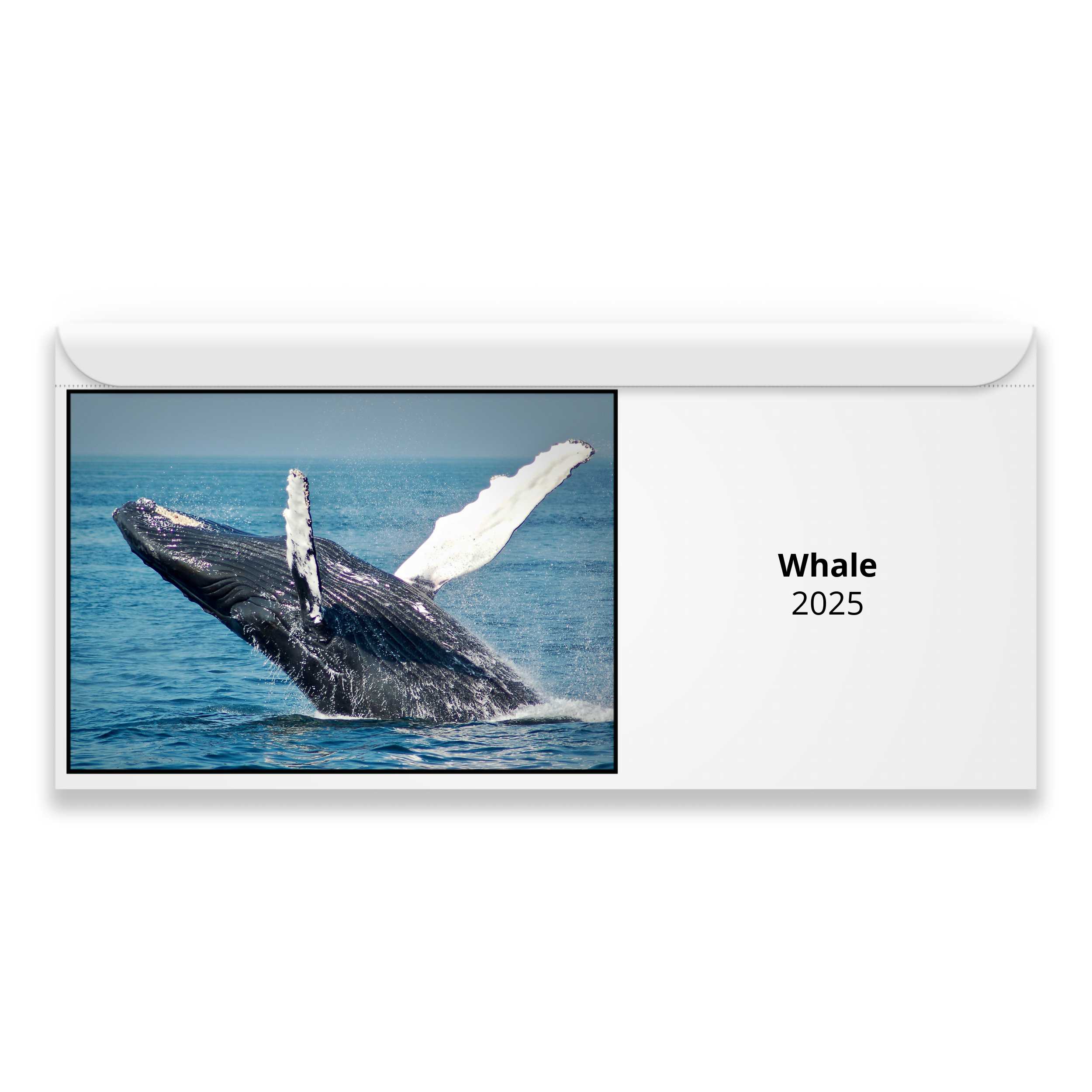 Whale 2025 Calendar