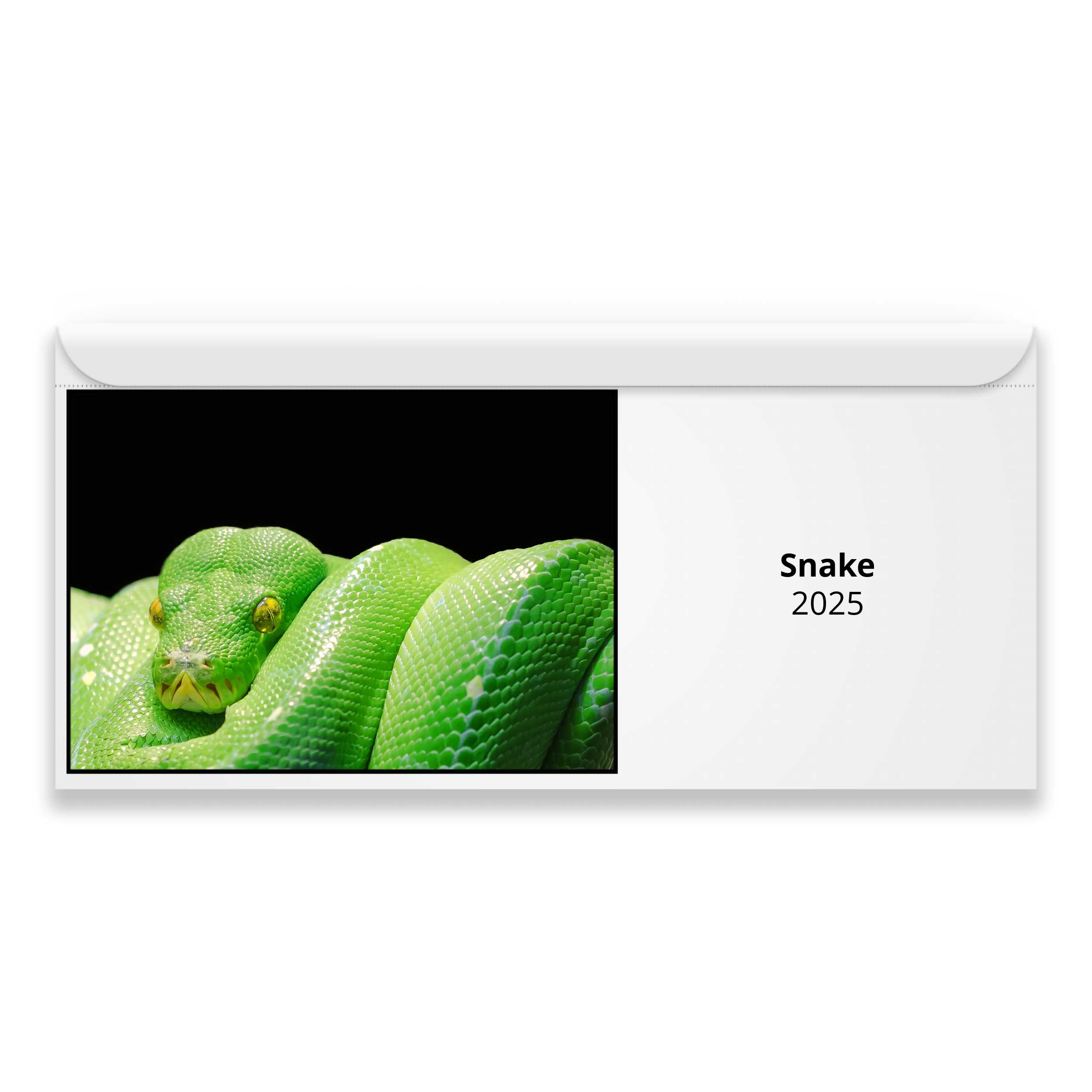 Snake 2025 Magnetic Calendar   M23016 Cover 