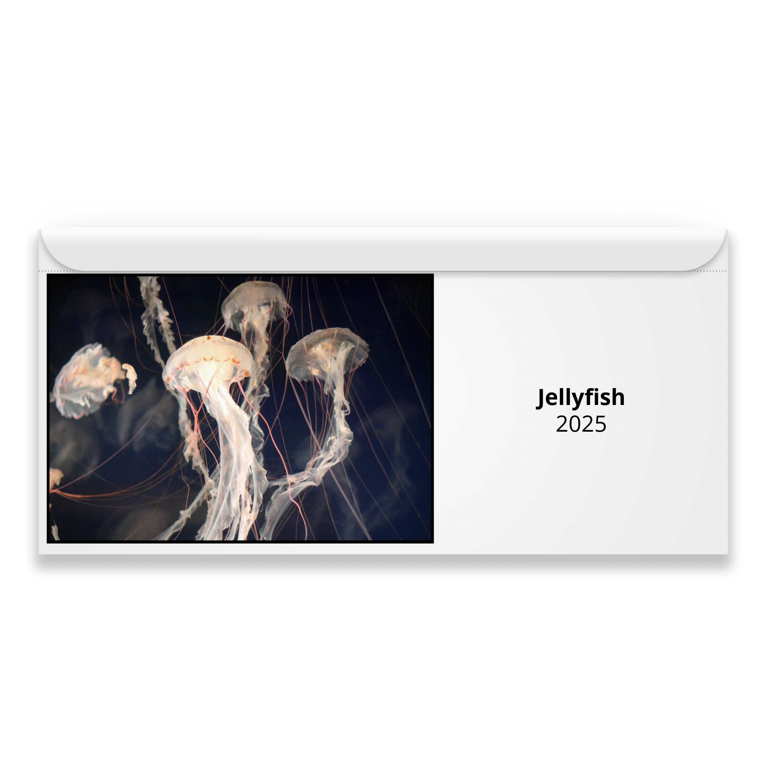 Jellyfish 2025 Calendar