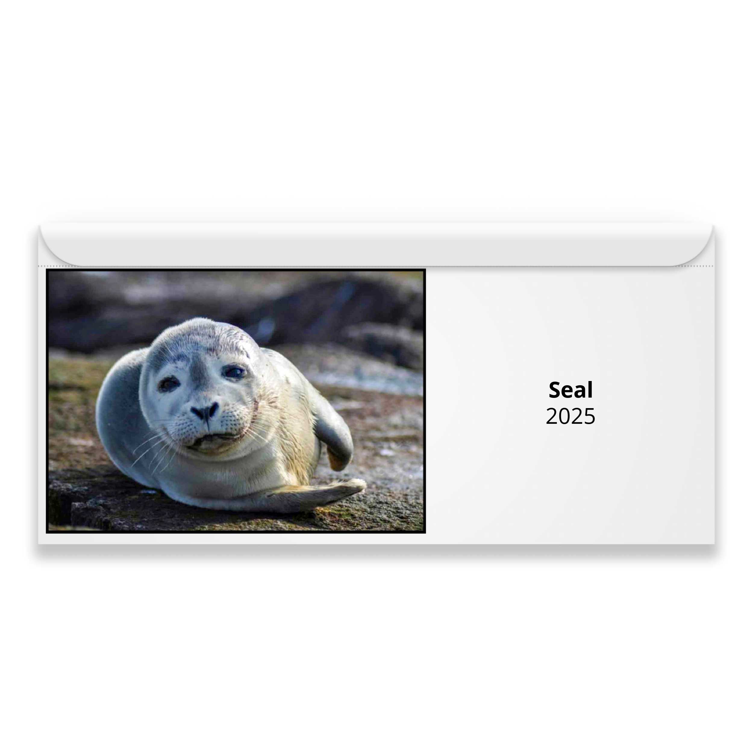 Seal 2024 Calendar