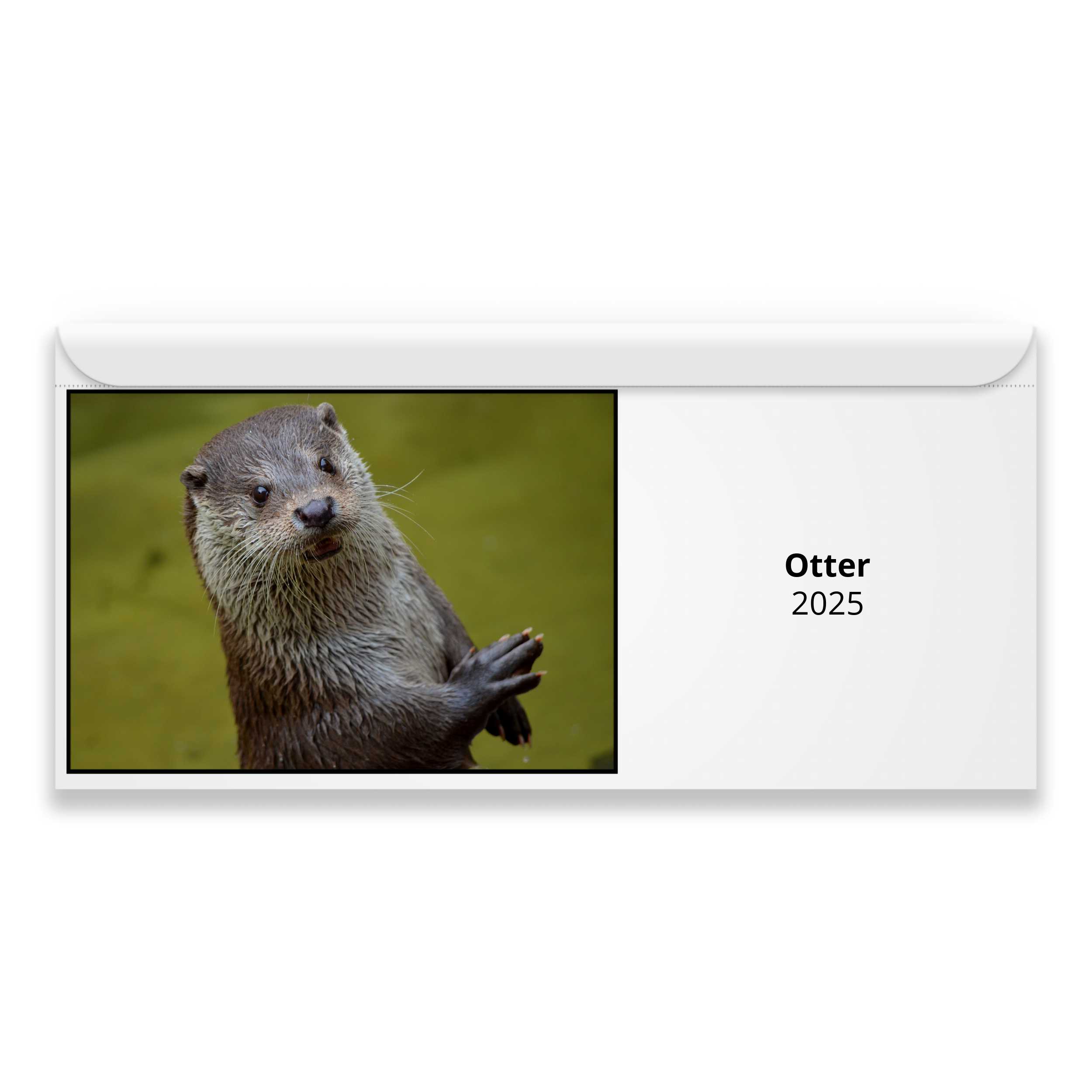 Otter 2024 Calendar