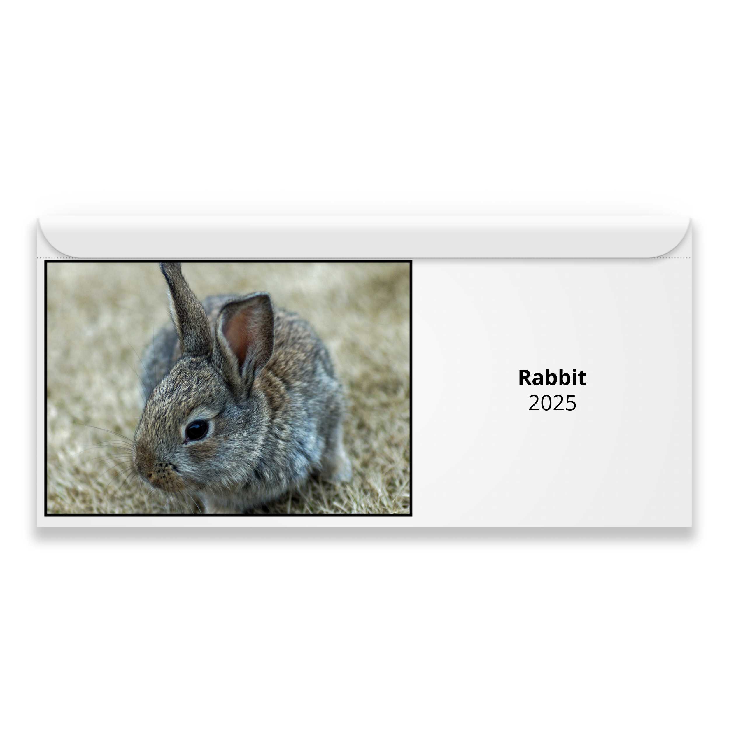 Rabbit 2025 Calendar