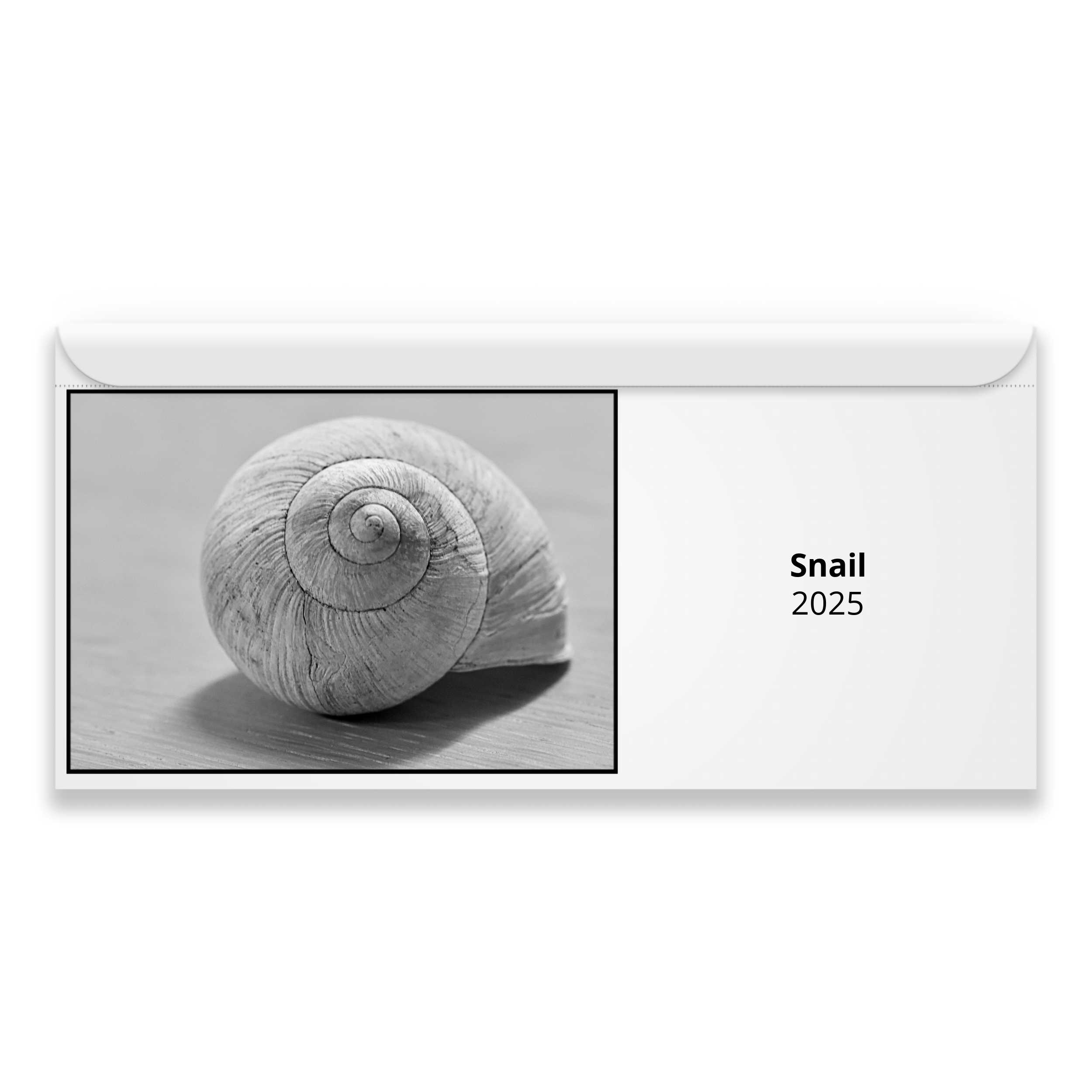 Snail 2025 Magnetic Calendar   M23116 Cover 